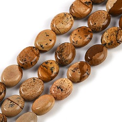 Natural Picture Jasper Beads Strands, Oval, 10x8x4mm, Hole: 1mm, about 40pcs/strand, 15.55''(39.5cm)(G-M420-D14-01)