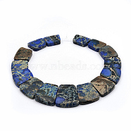 Natural Imperial Jasper Graduated Beads Strands, Dyed, Trapezoid, Cornflower Blue, 16~34x23~28x5~6mm, Hole: 1mm, about 15pcs/strand, 12.2 inch(G-P296-A03)