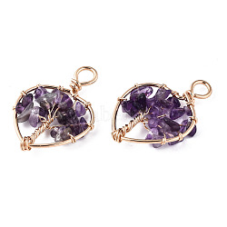 Natural Amethyst Pendants, Golden Tone Brass Wire Wrapped, Tree, Heart, 37~38.5x26~27x5.5~7.5mm, Hole: 4mm(G-T131-97B-09)