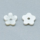 Freshwater Shell Beads(SHEL-S275-010)-2