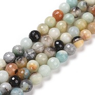 Natural Flower Amazonite Beads Strands, Faceted(128 Facets), Round, 10mm, Hole: 1.2mm, about 38pcs/strand, 15.16''(38.5cm)(G-E571-26C)