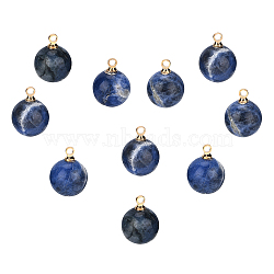 Natural Sodalite Charms, with Golden Brass Loops, Round, 14x10.5mm, Hole: 1.5mm, 10pcs/box(G-SC0001-49E)