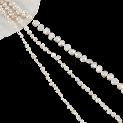 3 Strands 3 Styles Natural Cultured Freshwater Pearl Beads Strands, Two Sides Polished, Nuggets, Antique White, 3.5~8x3~6x3~6.5mm, hole: 0.5~0.6mm, 1 strand/style(PEAR-NB0002-09)