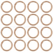 16Pcs Zinc Alloy Spring Gate Rings, O Rings, Golden, 7 Gauge, 32.5x3.5mm, Inner Diameter: 23.5mm(FIND-SC0005-16)