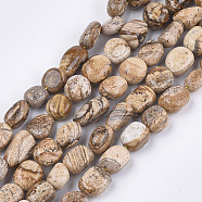 Natural Picture Jasper Beads Strands, Tumbled Stone, Nuggets, 8~19x8~12x4~8mm, Hole: 0.8mm, about 37pcs/strand, 15.9 inch(G-T105-38)