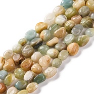 Natural Flower Amazonite Beads Strands, Nuggets, Tumbled Stone, 7~12x6~8x5~7mm, Hole: 1mm, about 43~44pcs/strand, 15.47~15.63''(39.3~39.7cm)(G-G146-A19-01)