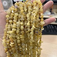 Natural Topaz Jade Chip Beads Strands, 5~8x5~8mm, Hole: 1mm, about 31.5 inch(G-M205-16A)