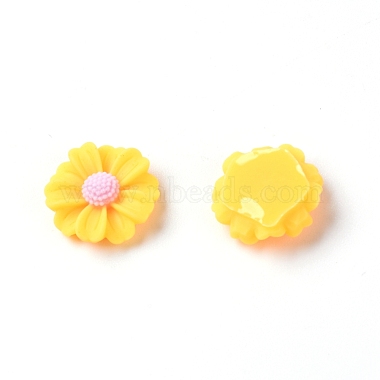 Resin Cabochons(RESI-TAC0006-02A-02)-1
