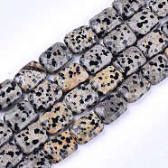 Natural Dalmatian Jasper Beads Strands, Rectangle, 17.5~18.5x13~13.5x6~7mm, Hole: 1mm, about 22pcs/strand, 15.5 inch(X-G-T121-16)