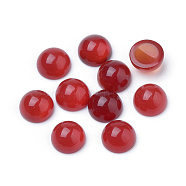 Natural Carnelian Cabochons, Half Round/Dome, 6x3~4mm(X-G-R416-6mm-56)