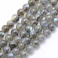 Natural Labradorite Beads Strands, Round, 6~6.5mm, Hole: 1mm, about 63pcs/strand, 15.7 inch(40cm)(G-P336-19-6mm)
