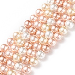 Polished Shell Pearl Bead Strands, Grade A, Round, Mixed Color, 8mm, Hole: 1mm, about 24pcs/strand, 8 inch(20.32cm)(X-BSHE-F013-07B)
