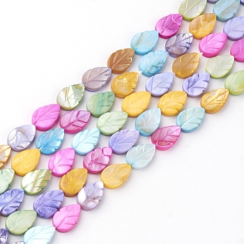 Natural Freshwater Shell Beads, Dyed, Leaf, Colorful, 10x7x3mm, Hole: 1mm, about 36pcs/strand, 14.6”