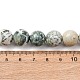 Natural Tree Agate Beads Strands(G-T150-A09-12mm)-5