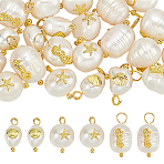 30Pcs 3 Styles Natural Pearl Pendants, with Alloy Cabochons and Brass Loops, Golden, 13~24.5x8~10x5~11mm, Hole: 2~3mm, 10pcs/style(FIND-AR0005-32)