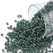 TOHO Round Seed Beads, Japanese Seed Beads, (373) Inside Color Black Diamond/Dk Green, 11/0, 2.2mm, Hole: 0.8mm, about 5555pcs/50g(SEED-XTR11-0373)