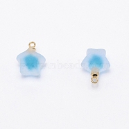Resin Frosted Pendants, with Golden Zinc Alloy Loop, Bead in Bead Pendants, Star, Deep Sky Blue, 21.5x17x14.5mm, Hole: 2.4mm(MP-TAC0009-03I)