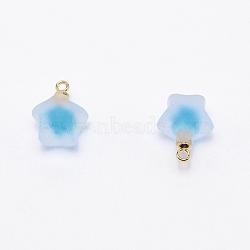 Resin Frosted Pendants, with Golden Zinc Alloy Loop, Bead in Bead Pendants, Star, Deep Sky Blue, 21.5x17x14.5mm, Hole: 2.4mm(MP-TAC0009-03I)