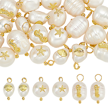30Pcs 3 Styles Natural Pearl Pendants, with Alloy Cabochons and Brass Loops, Golden, 13~24.5x8~10x5~11mm, Hole: 2~3mm, 10pcs/style
