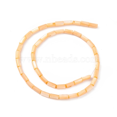 Natural Freshwater Shell Dyed Beads Strands(SHEL-M018-11-02)-2