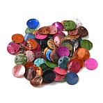 Spray Painted Natural Akoya Shell Disc Charms, Mixed Color, 12.5~13x1~1.5mm, Hole: 1.5mm(SHEL-K006-51)