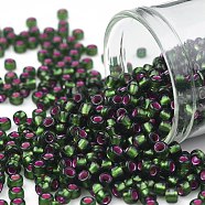 TOHO Round Seed Beads, Japanese Seed Beads, (2204) Silver Lined Frost Olivine Pink Lined, 8/0, 3mm, Hole: 1mm, about 1110pcs/50g(SEED-XTR08-2204)