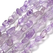 Natural Amethyst Beads Strands, Nuggets, Tumbled Stone, 7~13x4.5~10x4.5~10mm, Hole: 1.2mm, about 44~46pcs/strand, 15.08~16.14 inch(38.3~41cm)(G-P497-01E-21)