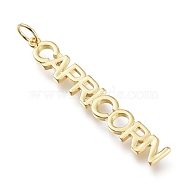 Brass Pendants, with Jump Rings, Long-Lasting Plated, Constellation/Zodiac Sign, Word, Capricorn, 44.5x6.5x2mm, Hole: 4.5mm(X-ZIRC-I048-15G-01)
