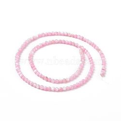 125Pcs Natural Freshwater Shell Beads, Dyed, Round, Pink, 3mm, Hole: 0.5mm(SHEL-B002-01B)
