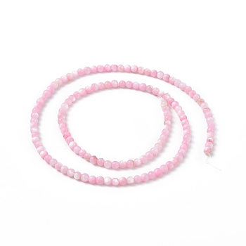 125Pcs Natural Freshwater Shell Beads, Dyed, Round, Pink, 3mm, Hole: 0.5mm