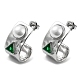 304 de acero inoxidable aretes(EJEW-M233-03P)-1