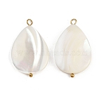 Natural Shell Teardrop Pendants, with 304 Stainless Steel Loops, Seashell Color, Ion Plating(IP), Real 18K Gold Plated, 29~30x18~18.5x3.5~4.5mm, Hole: 1.6~2.5mm(X1-STAS-D378-33G)