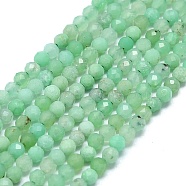 Natural Australia Jade Beads Strands, Faceted, Round, 2~2.5mm, Hole: 0.5mm, about 192~196pcs/strand, 14.92~15.16 inch(37.9~38.5cm)(G-G106-C01-01)