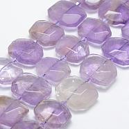 Natural Ametrine Beads Strands, Faceted, Rectangle, 24~27x18~20x8~9mm, Hole: 1.5mm, about 17pcs/strand, 14.9 inch(38cm)(G-P322-08H)