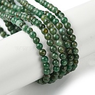 Natural African Jade Beads Strands, Round, 3mm, Hole: 0.5mm, about 127pcs/strand, 15.75''(40cm)(G-K365-C08-01)