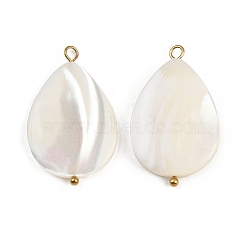 Natural Shell Teardrop Pendants, with 304 Stainless Steel Loops, Seashell Color, Ion Plating(IP), Real 18K Gold Plated, 29~30x18~18.5x3.5~4.5mm, Hole: 1.6~2.5mm(X1-STAS-D378-33G)