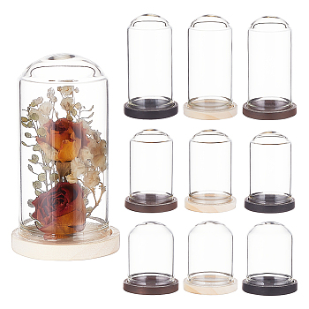 15Pcs Mini Glass Dome Cover, Decorative Display Case, Cloche Bell Jar, with 15Pcs Wood Base, Mixed Color, Tray Settings: 34.5x5mm; Cover: 39~59x29.5~30mm, Inner Diameter: 25.5~26mm