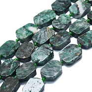 Natural Dioptase Beads Strands, Rectangle, 15~17x10~13x5~7mm, Hole: 1mm, about 22pcs/strand, 15.94''(40.5cm)(G-K245-J09-01)