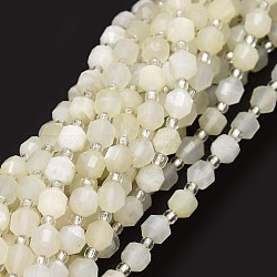 Grade A Natural White Moonstone Beads Strands, with Seed Beads, Faceted, Bicone, Double Terminated Point Prism Beads, 5~7x6mm, Hole: 0.8mm, about 48pcs/strand, 15.55 inch(39.5cm)(G-O201B-40)