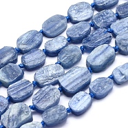 Natural Kyanite/Cyanite/Disthene Beads Strands, Flat Slab Beads, Nuggets, Frosted, 8~23x6~13x3~6mm, Hole: 1mm, about 19pcs/strand, 15.3 inch(39cm)(G-O170-22)