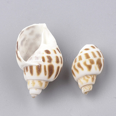 Spiral Shell Beads(SSHEL-S251-08)-2