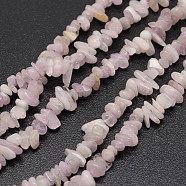 Chips Natural Kunzite Beads Strands, Spodumene Beads, 3~8x3~12x3~5mm, Hole: 1mm, about 16 inch(X-G-N0164-25)