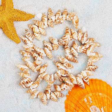 Chapelets de perles en coquille de spirale naturelle(BSHE-SZ0001-03)-2