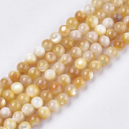 Yellow Shell Beads Strands, Round, Gold, 6~7mm, Hole: 0.9mm, about 62pcs/strand, 15.1 inch(SHEL-S274-93E)