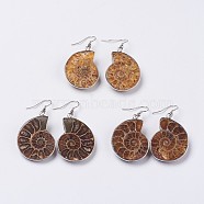 Fossil Spiral Dangle Earrings, with Brass Findings, Shell, Platinum, Mixed Color, 33~53x18~28x6~10mm, Pin: 0.6mm(EJEW-P153-01)