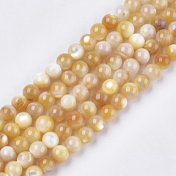 Yellow Shell Beads Strands, Round, Gold, 6~7mm, Hole: 0.9mm, about 62pcs/strand, 15.1 inch