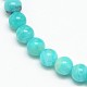 Natural Gemstone Amazonite Round Beads Strands(G-O017-10mm-08C)-4