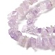 Natural Amethyst Chip Bead Strands(G-M205-35-1)-4