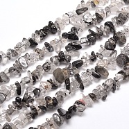 Natural Rutilated Quartz Chip Bead Strands, 5~8x5~8mm, Hole: 1mm, about 31.5 inch(G-M205-57)