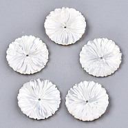 Natural White Shell Mother of Pearl Shell Beads, Carved, Flower, Creamy White, 24x2mm, Hole: 1.2mm(SSHEL-N032-19)